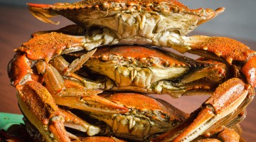 Nobody Else Stacks Up crabs