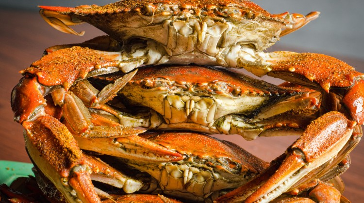 Nobody Else Stacks Up crabs